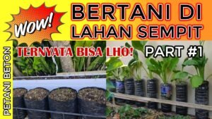 Bertani di Lahan Sempit: Optimalkan Ruang, Maksimalkan Hasil Panen