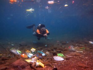 Dampak Plastik pada Ekosistem Laut: Ancaman yang Semakin Membesar