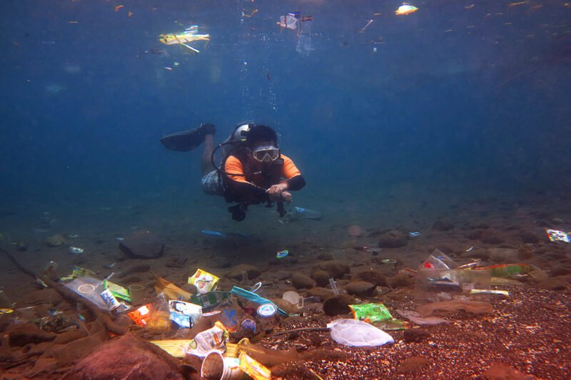 Dampak Plastik pada Ekosistem Laut: Ancaman yang Semakin Membesar