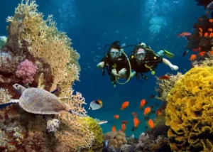 Menjelajahi Keindahan Bawah Laut: Spot Snorkeling Terbaik di Indonesia