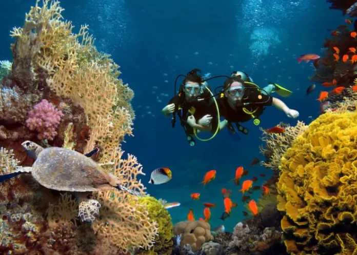 Menjelajahi Keindahan Bawah Laut: Spot Snorkeling Terbaik di Indonesia