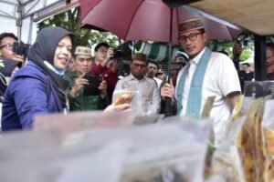 Politik UMKM: Menavigasi Labirin Kebijakan dan Membangun Kekuatan Ekonomi Nasional
