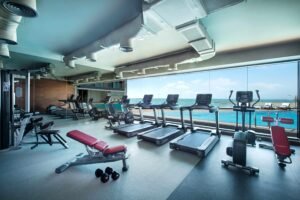 Mengupas Tuntas Dunia Fitness & Gym: Panduan Lengkap untuk Pemula hingga Lanjutan
