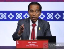 Politik Luar Negeri: Menavigasi Kompleksitas Dunia Global