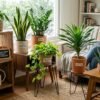 Koleksi Tanaman Hias Indoor Yang Mudah Dirawat Bagi Anda Yang Sangat Sibuk